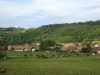 DSC03520
