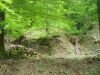 Dsc03279