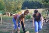 IMG 4721