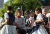 Img 7558