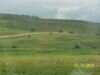 Barot 062